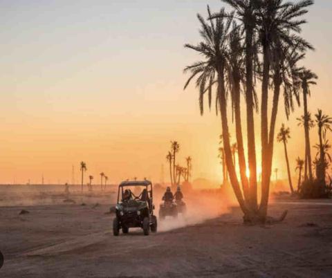 Amelkis - Terrain à Vendre de 2,5 hectares